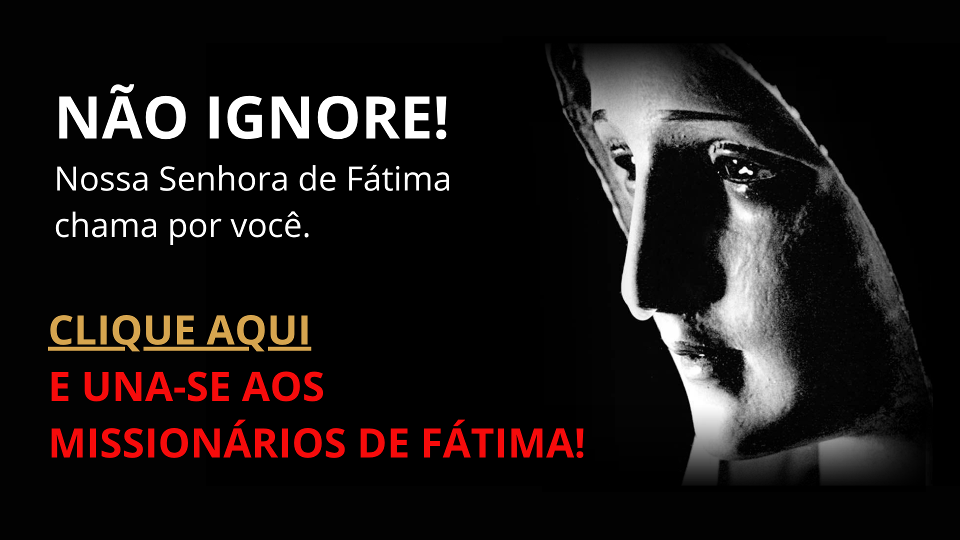 Torne-se Missionário de Fátima!
