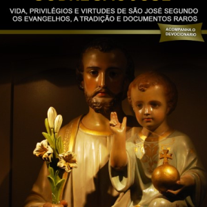 Tudo, Tudo, Tudo sobre São José